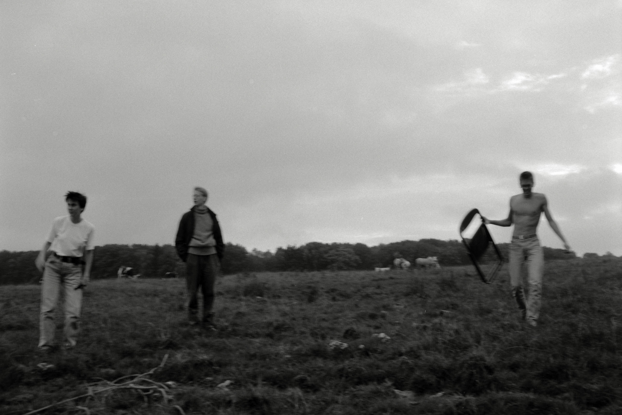 AHP F1990 09 005 sc250506 img28 NLP